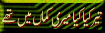 11.gif (4159 bytes)