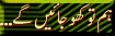 4.gif (4152 bytes)