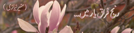 3.gif (43631 bytes)