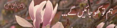 4.gif (43793 bytes)