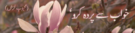 baar6.gif (43474 bytes)