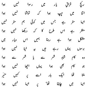 muneer.gif (7156 bytes)