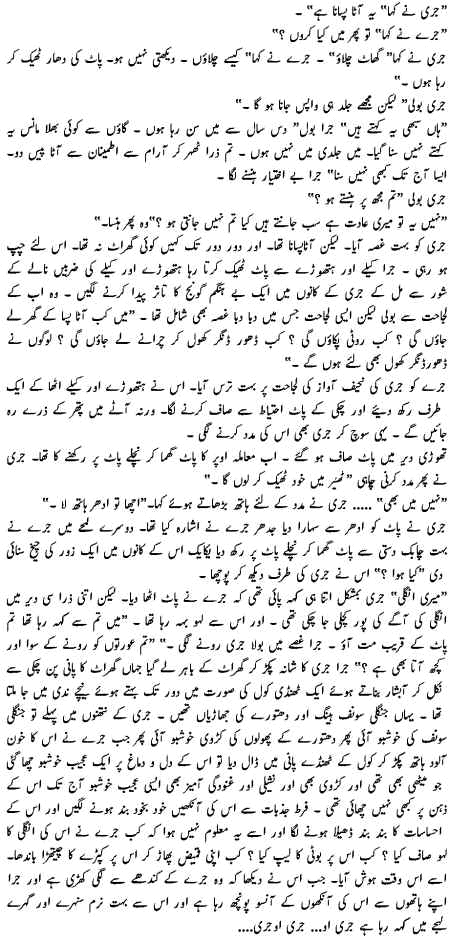 nuetra3.gif (119534 bytes)