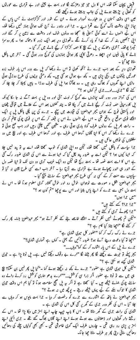 nuetra5.gif (134660 bytes)