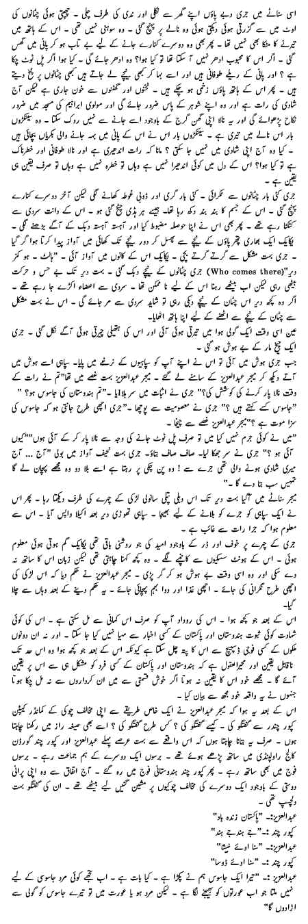 nuetra6.gif (166439 bytes)