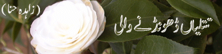 baar3.gif (38681 bytes)