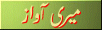 4.gif (3109 bytes)