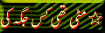 11.gif (4200 bytes)