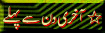 13.gif (4162 bytes)