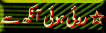 3.gif (4134 bytes)
