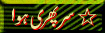 7.gif (4240 bytes)
