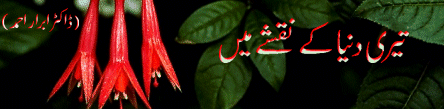 Teri Dunia Kay Naqshay Main