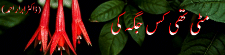 Matti Thi Kis Jaghah Ki