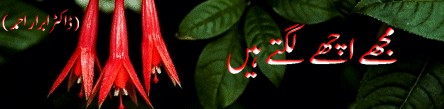 Achcay Lagtay Hain