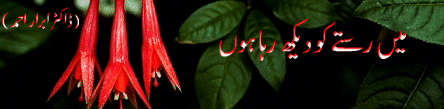 Main Rastay Ko Daikh Rha Hoon