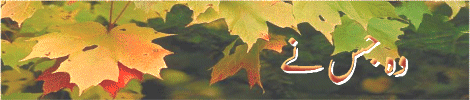 1-t.gif (37979 bytes)