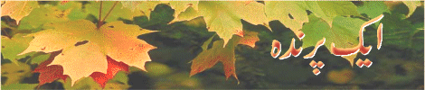 10-t.gif (38211 bytes)