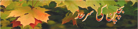 3-t.gif (38760 bytes)