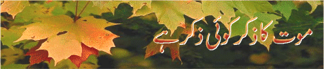 5-t.gif (38803 bytes)
