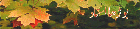 6-t.gif (38155 bytes)