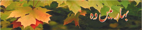 7-t.gif (38342 bytes)