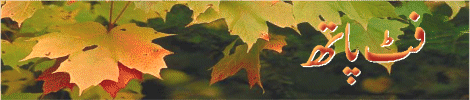 8-t.gif (38351 bytes)