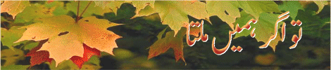 9-t.gif (38357 bytes)