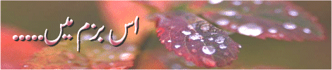 t-6.gif (36266 bytes)
