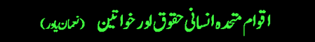 bar3.gif (2482 bytes)