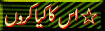 10.gif (3983 bytes)