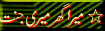 11.gif (4041 bytes)