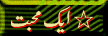13.gif (4402 bytes)