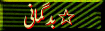 2.gif (3881 bytes)