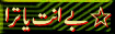 7.gif (3966 bytes)