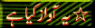 9.gif (3971 bytes)