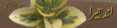 10.gif (34269 bytes)