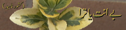 4.gif (34074 bytes)