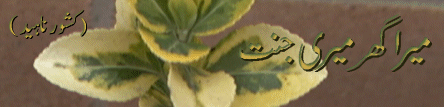 5.gif (34468 bytes)