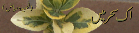 7.gif (34013 bytes)