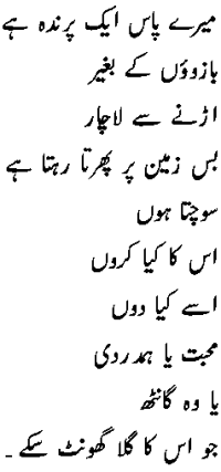 javeed.gif (6686 bytes)