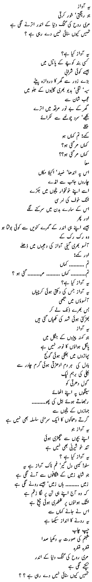 wazeer.gif (41644 bytes)